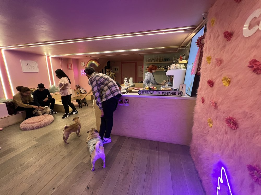 CUPPAPUG Updated October 2024 Arbutus St, London, United Kingdom