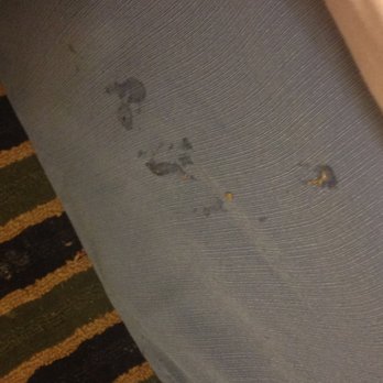 Days Inn by Wyndham Springville - Snot or throw up all over bed sheets - Hotels Near Me - Springville, Utah Days Inn by Wyndham Springville - Snot or throw up all over bed sheets - Hotels Near Me - Springville, Utah
