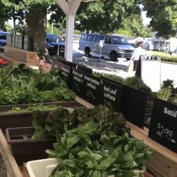 Briermere Farms - Bakeries Near Me - Riverhead, New York