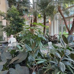 East Bay Endoscopy Center - Indoor arboretum sitting area outside Polaris cafe