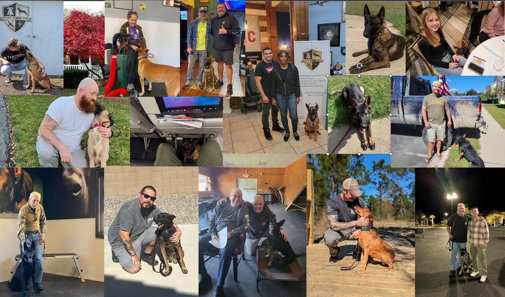 TOP TIER K9 Updated August 2024 11 Photos 1355 E Lafayette St