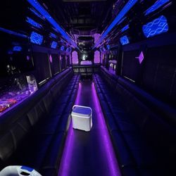 Executive LA Limousine Service - What a fantastic way to avoid driving yourself and get to the concert with likeminded friends!