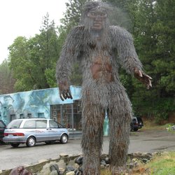 Forest Lodge Motel - Big Foot right across the street!