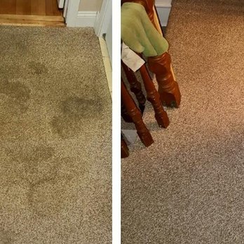 Patrick's Carpet Cleaning - Pet Stain Removal - Office Cleaning Near Me Patrick's Carpet Cleaning - Pet Stain Removal - Office Cleaning Near Me