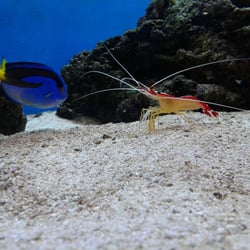 Aquarium Madrid