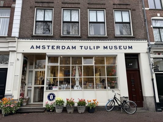Amsterdam Tulip Museum by null