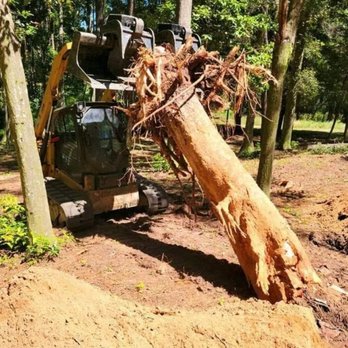 Haycox Clearing and Mulching - a bulldozer removing a fallen tree - Landscaping Near Me Haycox Clearing and Mulching - a bulldozer removing a fallen tree - Landscaping Near Me