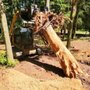 Photo of Haycox Clearing and Mulching