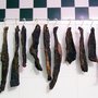 Photo of Trents Gourmet Meats