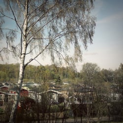 Vallilan siirtolapuutarha