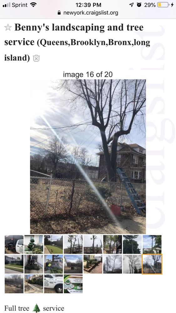 Benny’s Landscaping & Tree Service - tree service in Brooklyn, NY