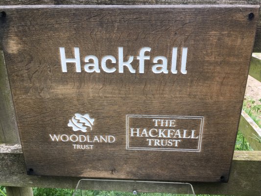 Hackfall by null
