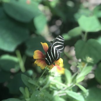 River Bend Nature Center - Community Service/Non-Profit Near Me - Wichita Falls, Texas River Bend Nature Center - Community Service/Non-Profit Near Me - Wichita Falls, Texas
