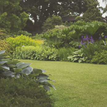 Woody's Tree Service - Tree Services Near Me - Libertyville, Illinois Woody's Tree Service - Tree Services Near Me - Libertyville, Illinois