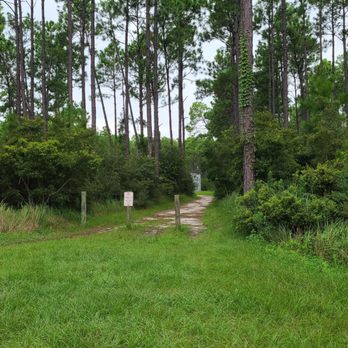 Bamahenge - Pathway In  08-19-2022 - Local Flavor Near Me - Elberta, Alabama