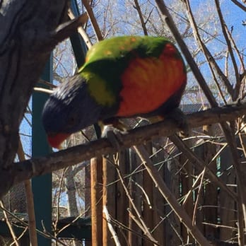 Denver Zoo - Zoos Near Me - Denver, Colorado Denver Zoo - Zoos Near Me - Denver, Colorado