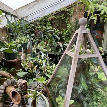 Peckham's Greenhouse - Nurseries & Gardening Near Me - Little Compton, Rhode Island Peckham's Greenhouse - Nurseries & Gardening Near Me - Little Compton, Rhode Island