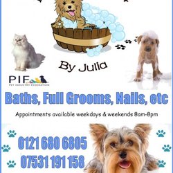 Dog Grooming by Julia