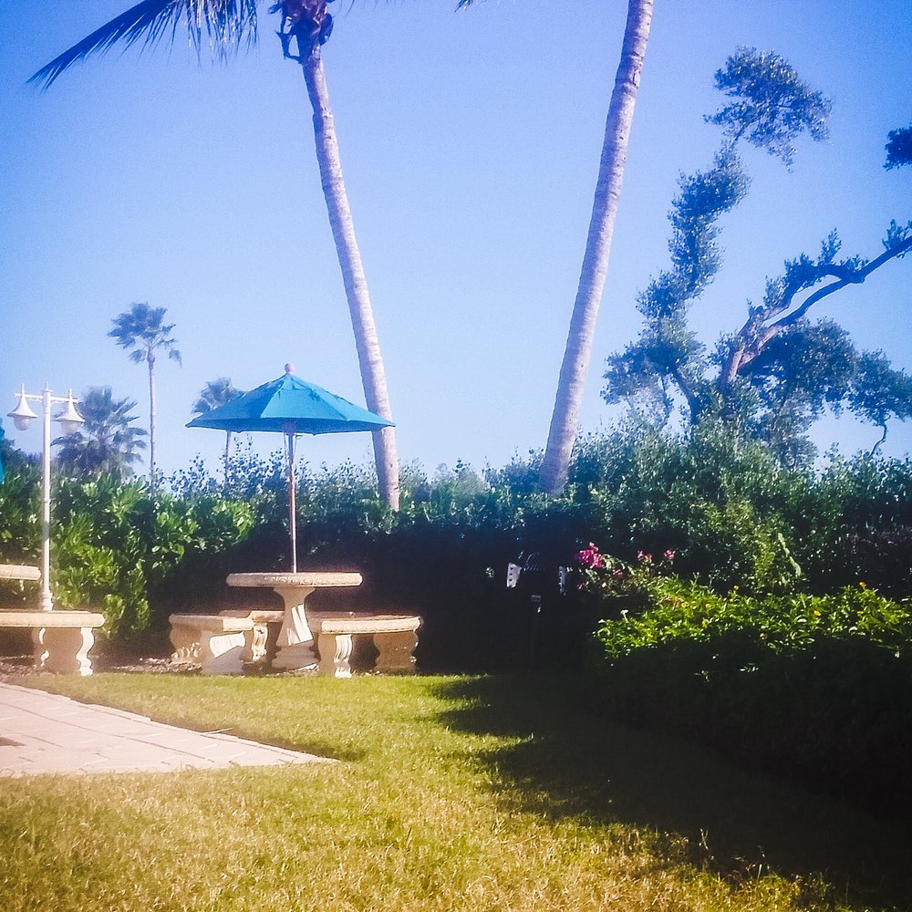 Tradewinds Resort - Back grassy area of the resort - Resorts Near Me - Bradenton Beach, Florida Tradewinds Resort - Back grassy area of the resort - Resorts Near Me - Bradenton Beach, Florida