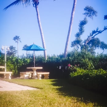 Tradewinds Resort - Back grassy area of the resort - Resorts Near Me - Bradenton Beach, Florida