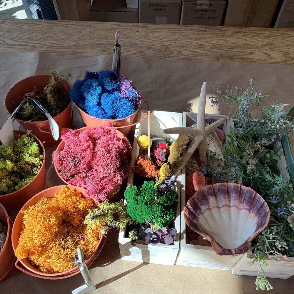 PlantHouse - Plant station. - Nurseries & Gardening Near Me - Charlotte, North Carolina
