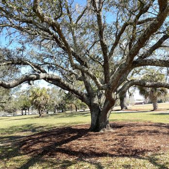 Lyons Park Tennis Center - Parks Near Me - Mobile, Alabama