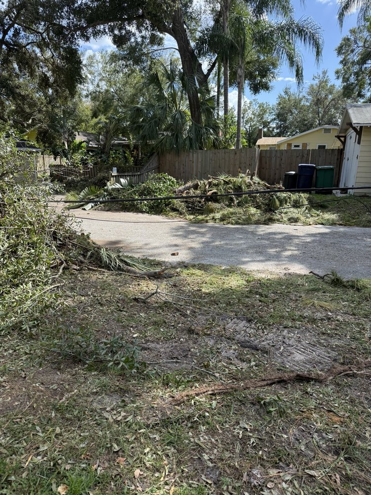 Glisson Tree & Property Care - tree service in Jacksonville, FL