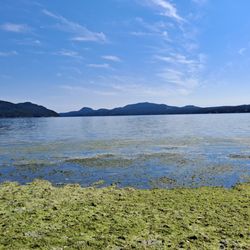 Crescent Beach Preserve