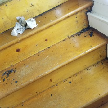 Hagerstown Floors - Rubber backing still on stairs. The deal was to remove and clean up and remove staples. - Carpeting Near Me - Hagerstown, Maryland Hagerstown Floors - Rubber backing still on stairs. The deal was to remove and clean up and remove staples. - Carpeting Near Me - Hagerstown, Maryland