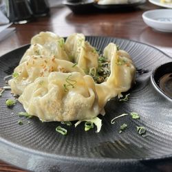 The GYOZA (Pot Stickers)