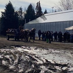 Drysdale's - The horse drawn wagon ride
