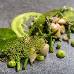 At Your Table OC - A Celebration of Asparagus