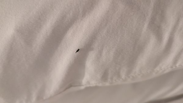 Jupiter Hotel Portland by null
