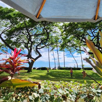 Barefoot Bar - The main view from my table - Cocktail Bars Near Me - Honolulu, Hawaii