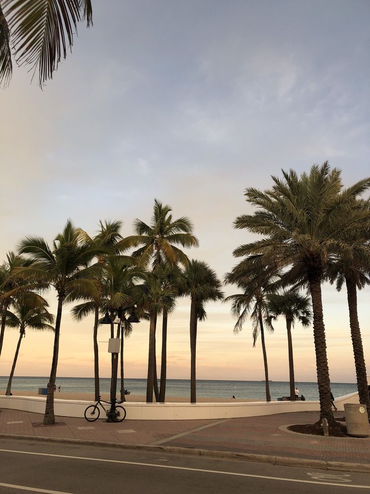 ELBO ROOM 246 Photos & 331 Reviews Dive Bars 241 S Ft Lauderdale