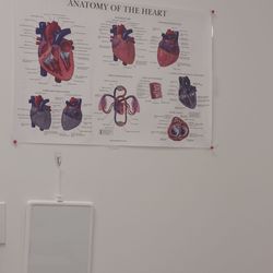 Franciscan Cardiovascular Associates at St. Michael