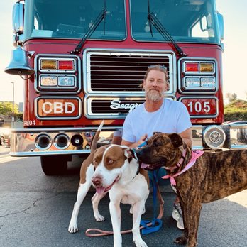 Passion for Pitties - Pet Adoption Near Me