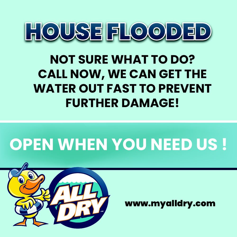 ALL DRY SERVICES - Updated June 2025 - Henderson, Nevada - Damage ...