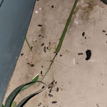 Public Storage - rat feces and more. - Self Storage Near Me - Scottsdale, Arizona Public Storage - rat feces and more. - Self Storage Near Me - Scottsdale, Arizona