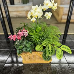 May's Floral Garden
