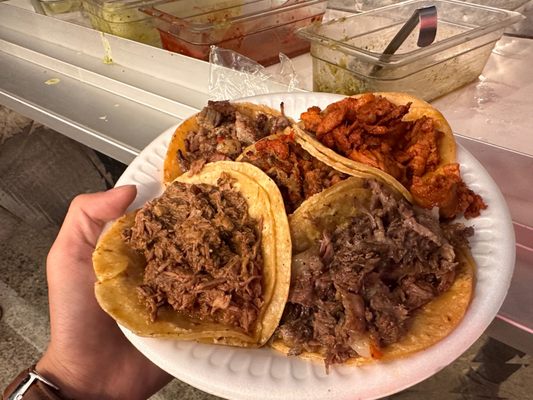 The San Diego Taco Truck by null