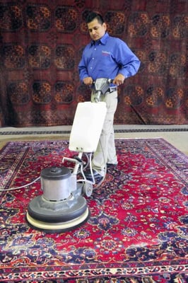 Hadeed Carpet Cleaning