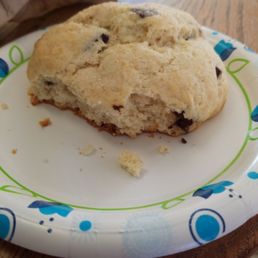 Chocolate Chunk Muffin