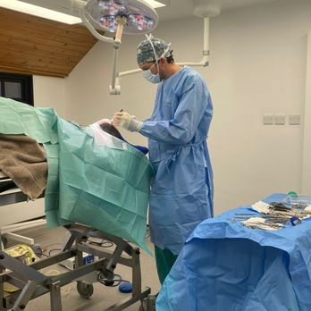 Kelperland Veterinary Centre - Veterinarians Near Me - Maidenhead, WNM Kelperland Veterinary Centre - Veterinarians Near Me - Maidenhead, WNM