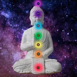 The Psychic Chakra House