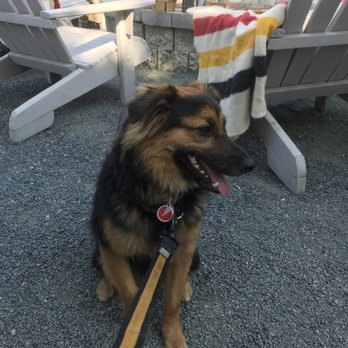 Park & Field - Super dog friendly patio! Bowie received treats from the staff and a giant bowl of water just for him! - New American Near Me - Chicago, Illinois