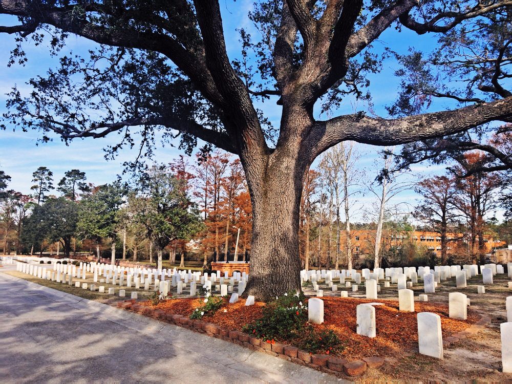 Historic Wilmington Foundation - social services organization in Wilmington, NC