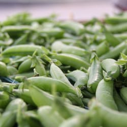 Williamstown Farmers Market