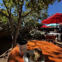 Remedy Coffee - Seasonal maple latte & Coffee Cake