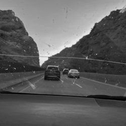 Avis Car Rental